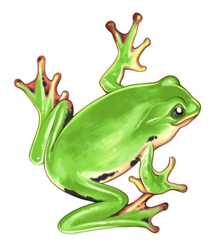 Jamie_動物/物件插畫類 - 