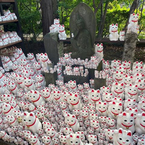 提供兼職打工差別服務的專家Clay