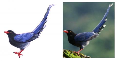 Jamie_動物/物件插畫類 - 