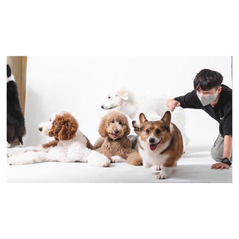 大邱攝影工作室 - 