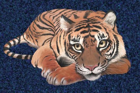 Jamie_動物/物件插畫類 - 