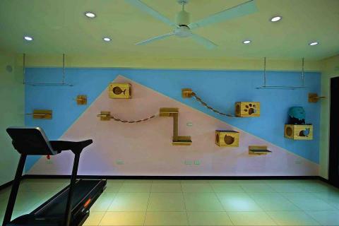 平安加分空間設計 - 