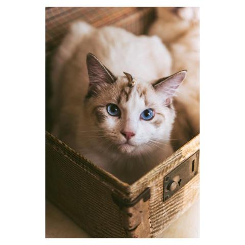 大邱攝影工作室 - 