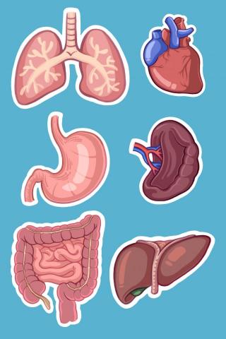 Jamie_動物/物件插畫類 - 