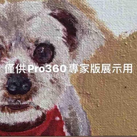 兔子袋 - 寫實動物壓克力畫半成品