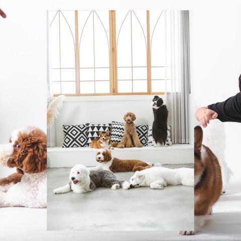 大邱攝影工作室 - 