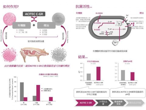 Joyce Yang - 國外產品DM-英翻中