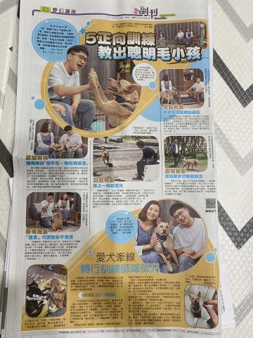 犬研室-寵物訓練 大雄 -  犬研室-寵物訓練 大雄 -