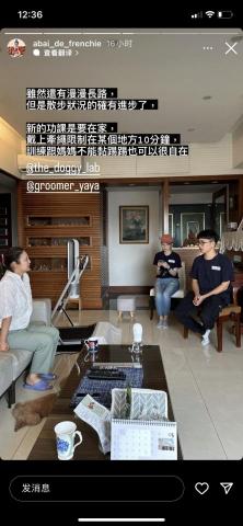 犬研室-寵物訓練 大雄 -  犬研室-寵物訓練 大雄 -