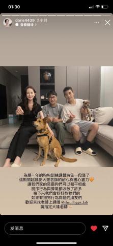 犬研室-寵物訓練 大雄 -  犬研室-寵物訓練 大雄 -