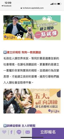 犬研室-寵物訓練 大雄 -  犬研室-寵物訓練 大雄 -