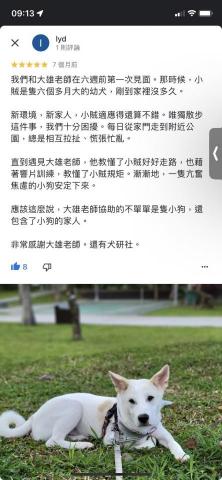 犬研室-寵物訓練 大雄 -  犬研室-寵物訓練 大雄 -