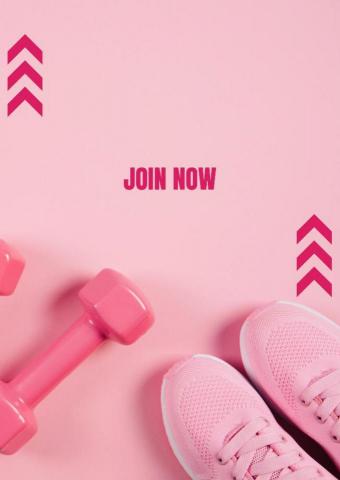 提供hub路由器服務的專家POWERCORE HUB 