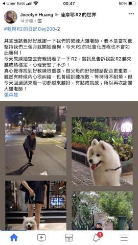 犬研室-寵物訓練 大雄 -  犬研室-寵物訓練 大雄 -