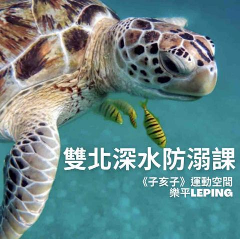 💫樂平教練💫(最新課程,請看專家介紹) -  💫樂平教練💫(最新課程,請看專家介紹) -
