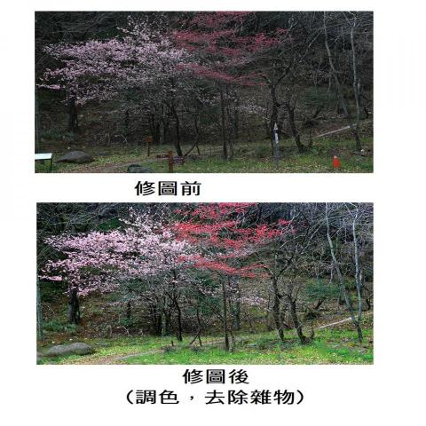 小米工作室 - 調整照片色彩及去除雜物