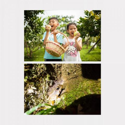 Rody - 飯店活動形象照