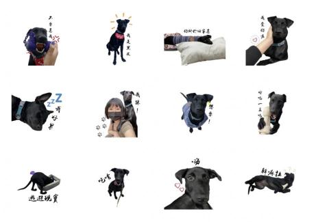 胡利貞 - 我做的寵物貼圖