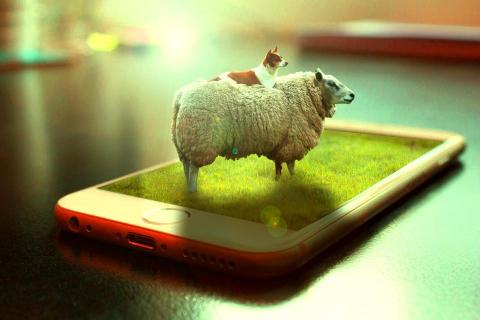 鑽漾精選 -  鑽漾精選 -