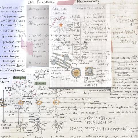 舒婷 Tina - 希望能在課程中讓學生找尋該科的興趣，並學會以筆記的方式記憶和學習。