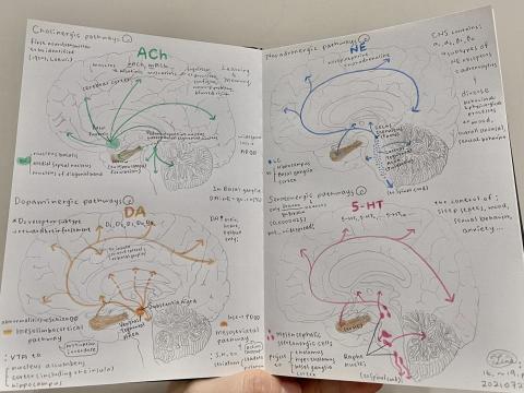 舒婷 Tina - 擅長以繪畫、色彩筆記的方式理解困難領域。