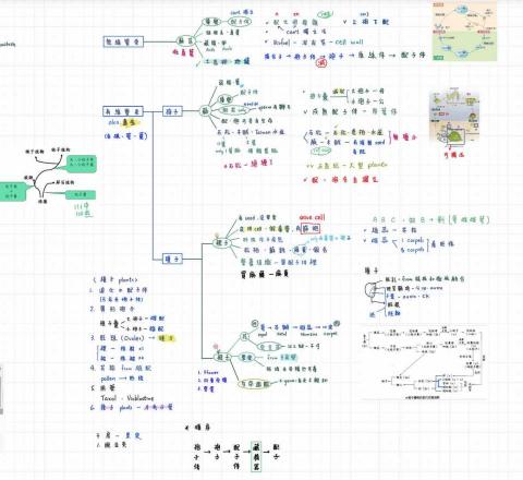趙雅文 - 生物 植物相關筆記