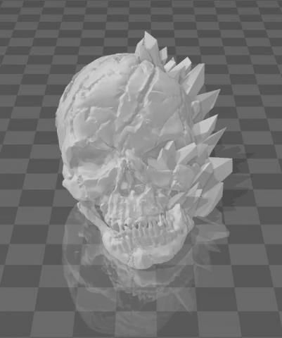 池澗築-3D模型列印 - 冰骷髏