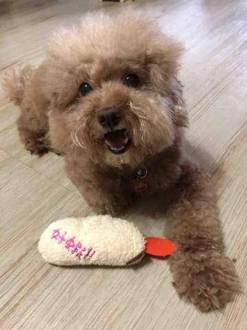 提供皮包店服務的專家皮狗狗股份有限公司