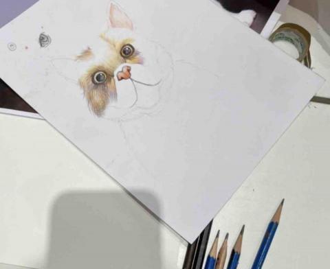 林庭妤 - 課堂示範（色鉛筆）