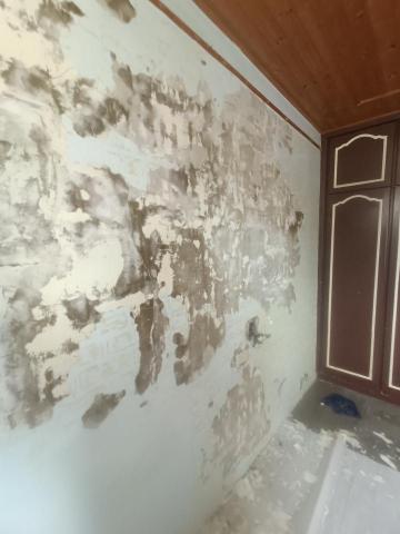 民鑫企業社 - 壁紙殘膠處理
改色 粉紅