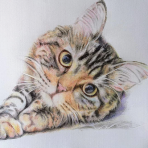 韻婷王繪畫工坊 - 巧虎
2022.06.19
彩色鉛筆畫