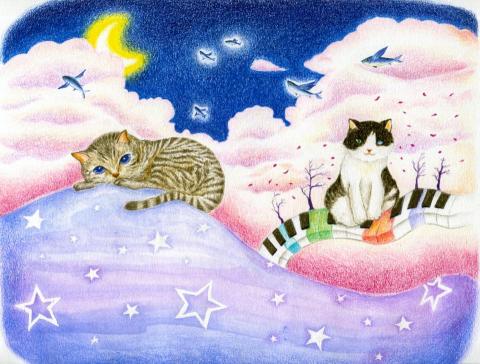 QUEENA LEE - 貓與夢境～書籍封面設計