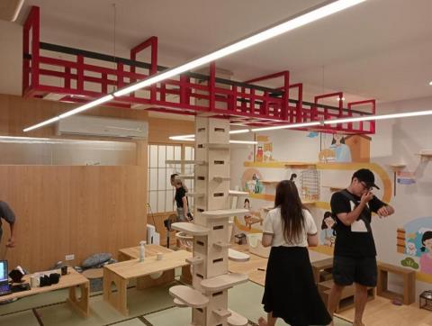 策略室內裝修事業群 - 日本橋天空步道+插件式貓柱 策略室內裝修事業群 - 日本橋天空步道+插件式貓柱