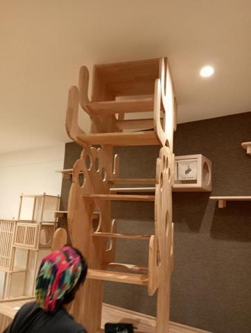 策略室內裝修事業群 - 樹狀頂天貓跳台 策略室內裝修事業群 - 樹狀頂天貓跳台