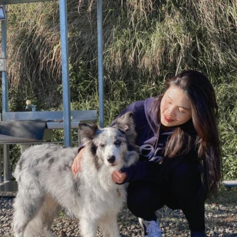 提供養狗狗服務的專家Annie