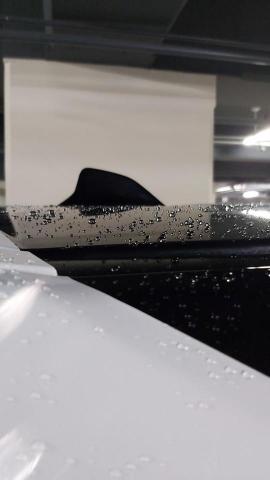 Jonas - 漂亮的水珠