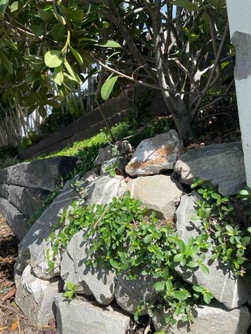 慕山有限公司 - 