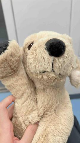 提供壁貼之家服務的專家林家嫻