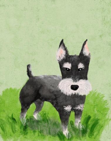 伊辰插畫設計 - 寵物插畫