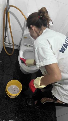 包賀清潔股份有限公司 - 馬桶刷洗