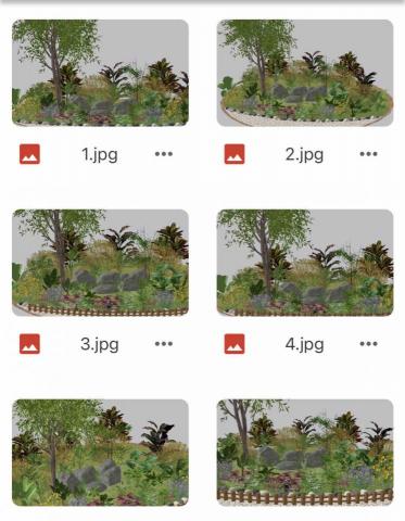 Han MJ - 國小植栽區改善