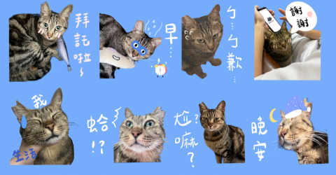 Jing77 - 寵物貼圖製作 Jing77 - 寵物貼圖製作