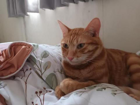 yilin_cosme - 證明我有寵物經驗啦