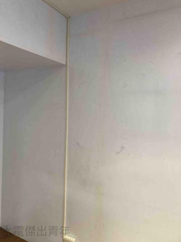 水電傑出青年 - 線路整理固定作業（壓條）