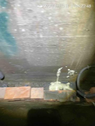 陳彥霖 -  陳彥霖 -