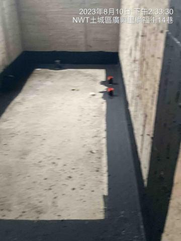 陳彥霖 -  陳彥霖 -