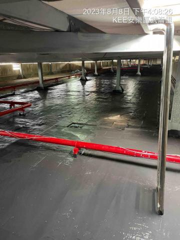 陳彥霖 -  陳彥霖 -