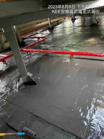 陳彥霖 -  陳彥霖 -