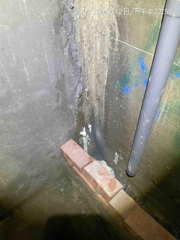 陳彥霖 -  陳彥霖 -