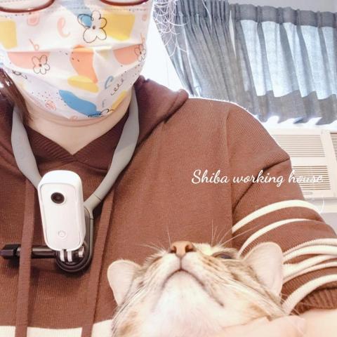 M麻-寵物到府服務 - 